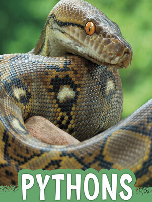 cover image of Pythons